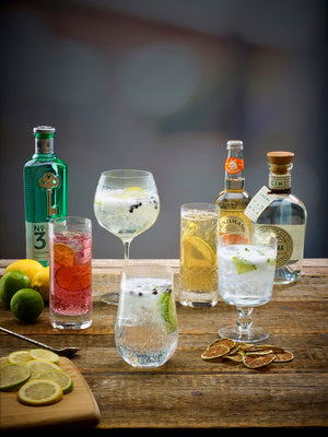 7 Best Gin Glasses For Every Occasion
